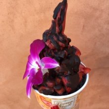 Gluten-free dairy free fruit soft serve from Frozen Fruit Co